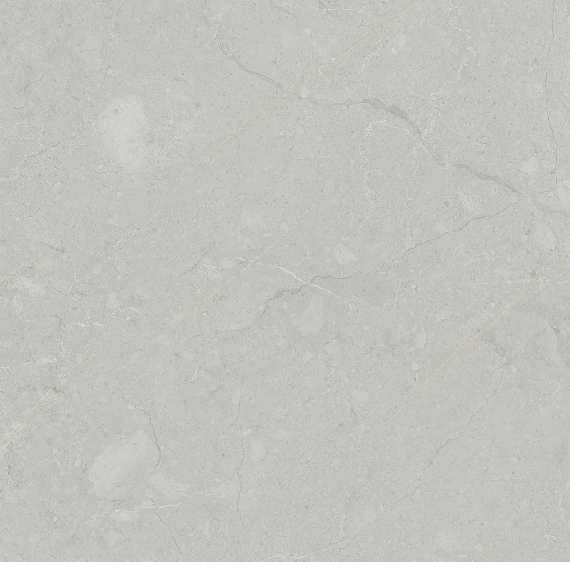 SF-MR80559-ӻ
